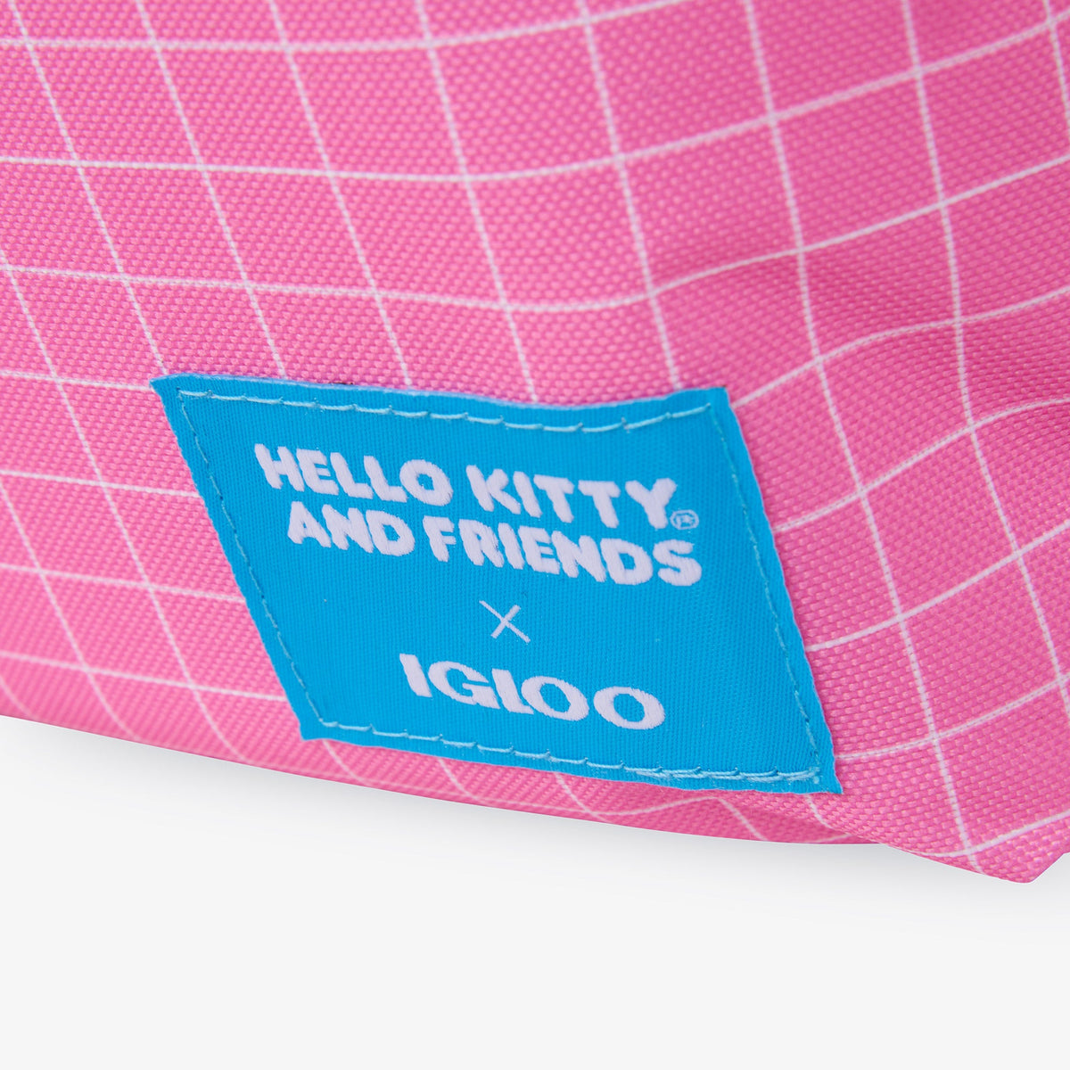 hello-kitty-and-friends-bff-mini-convertible-backpack-cooler-e7 00027591-L.jpg