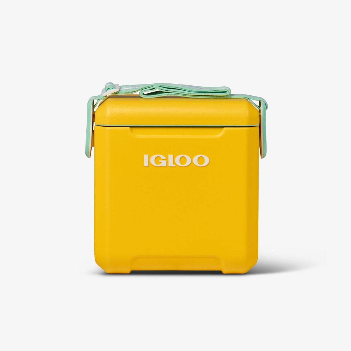 tag-along-too-cooler-g4 00032819_1.jpg