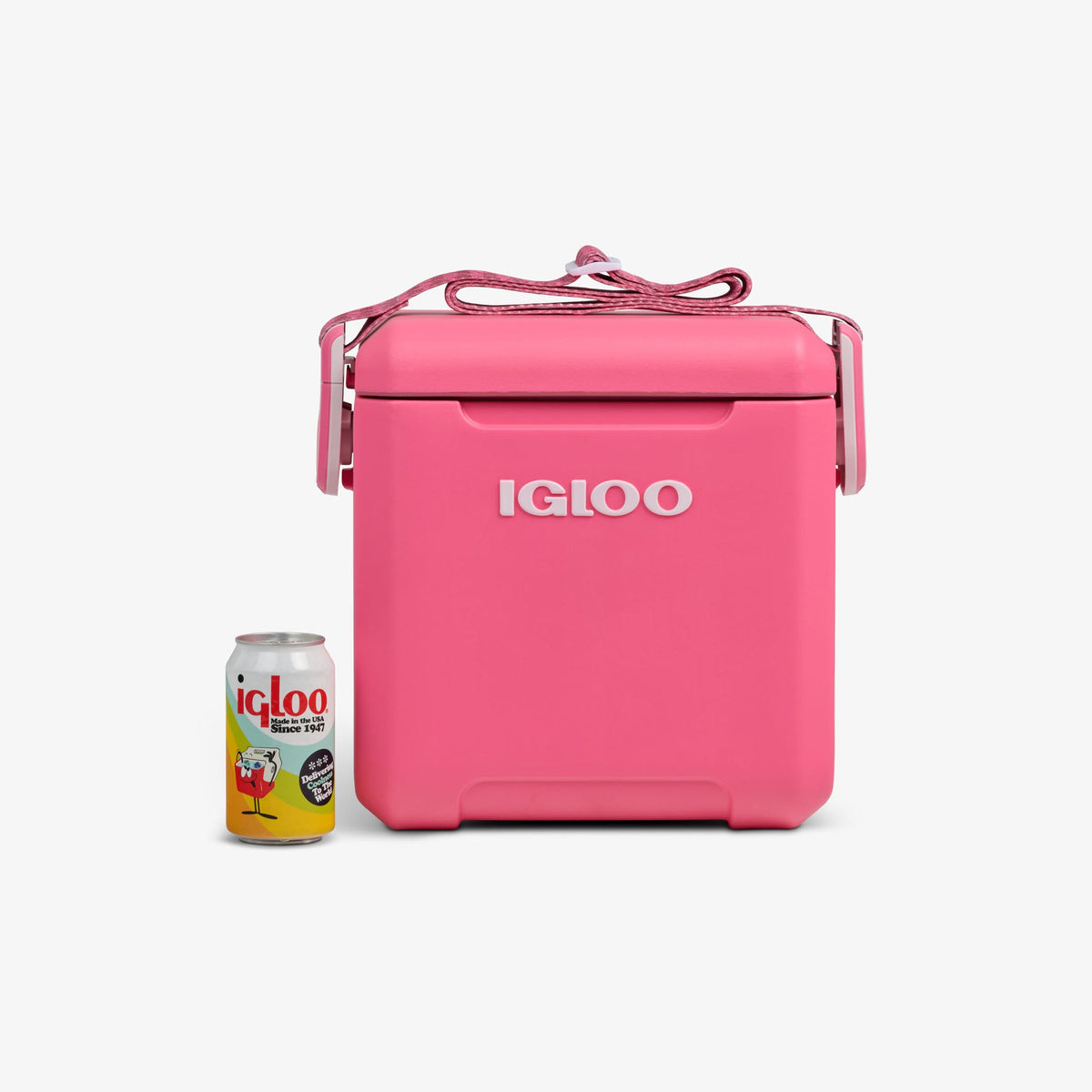 tag-along-too-remix-cooler-x6 00033199-P_861a5cd2-f15c-4217-a471-e33cc3890d9e.jpg