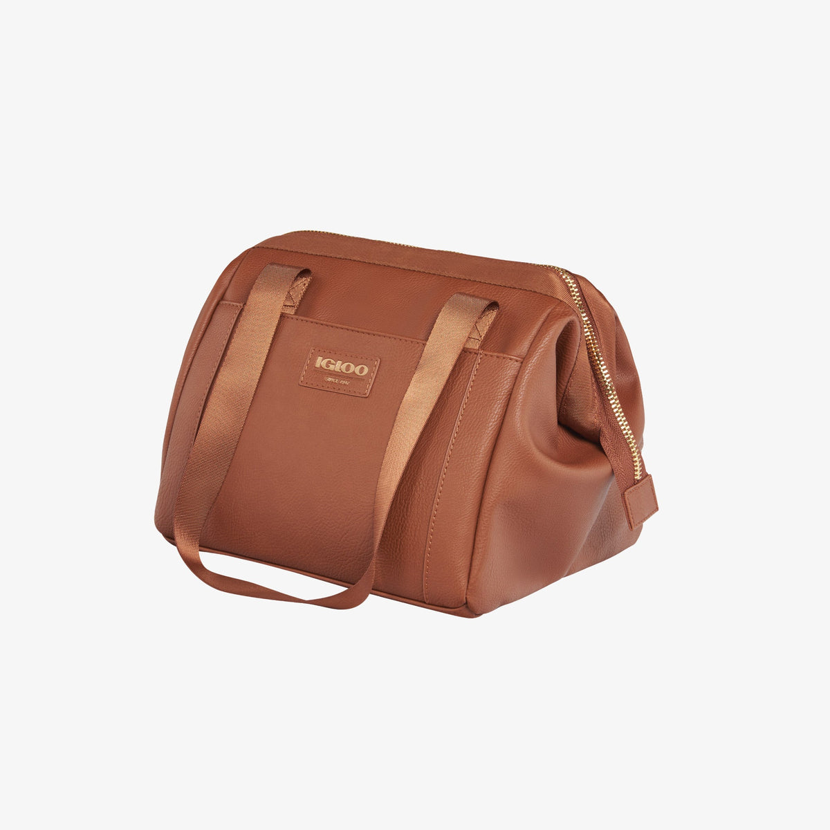 igloo-luxe-lunch-tote-cooler-bag-t3 00061160_2.jpg